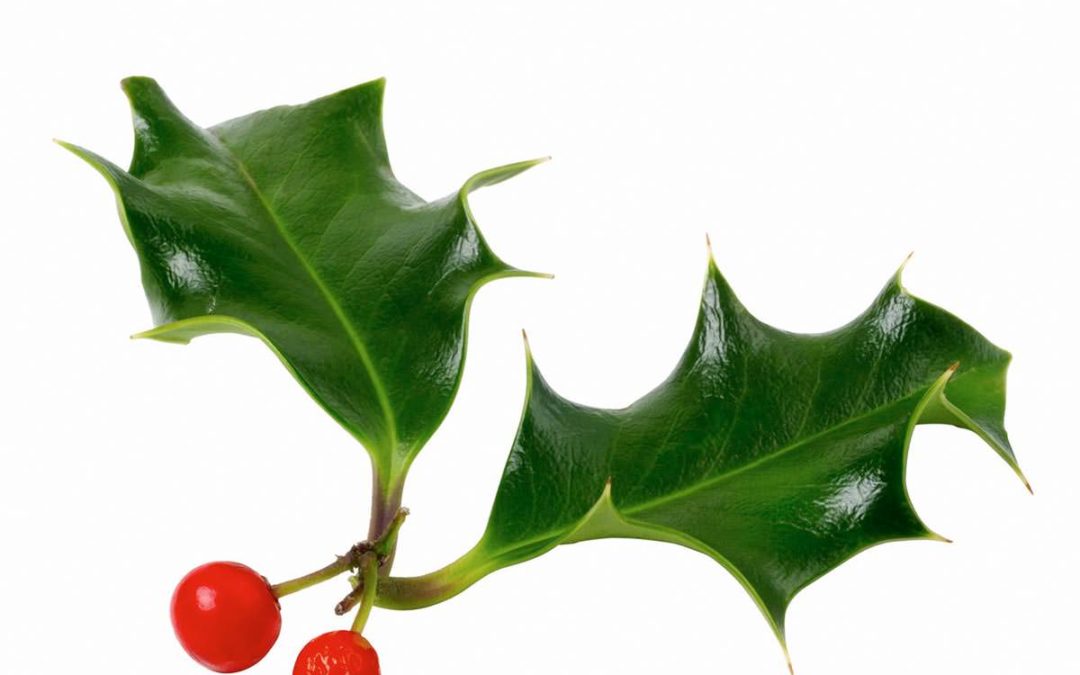 Challenge #3: Mastering the chaotic weekends leading up to Christmas