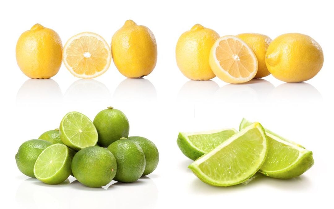 When life gives you lemons, you make lemonade.  When life gives you Lyme, you make … the best of it.