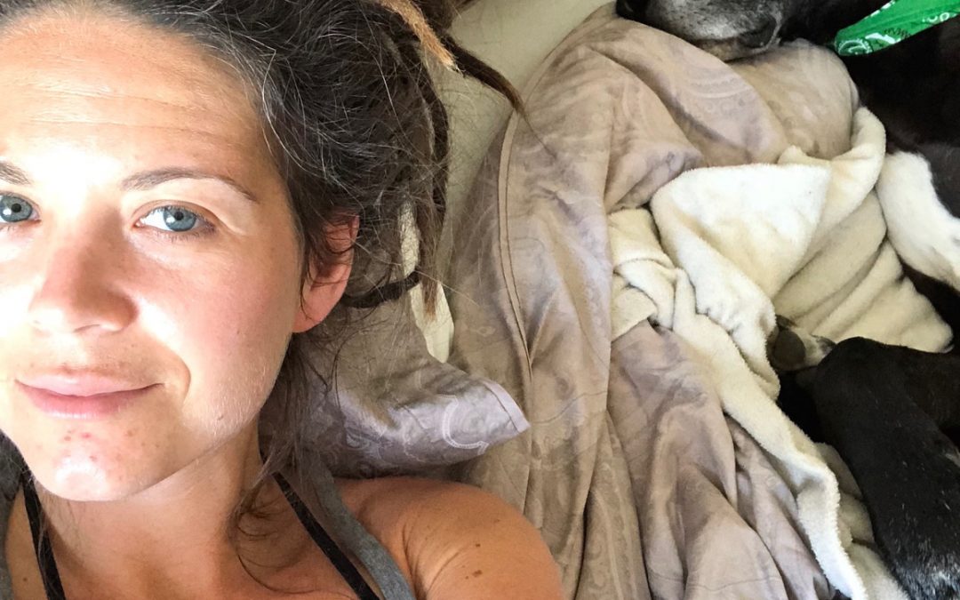 Four Months After Paracelsus: Lyme Disease Treatment Update