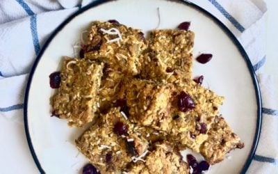 Blueberry Oatmeal Bars